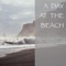 Wild Ocean - Ocean Sounds lyrics