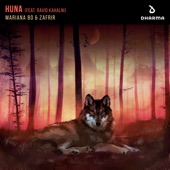Huna (feat. Ravid Kahalni) artwork