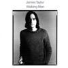 James Taylor - Daddy's Baby (2019 Remaster)