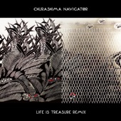 Life Is Treasure Remix artwork