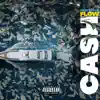 Cash Flow Freestyle (feat. TGF P-Money, Yung Kobe & Itzjboii) - Single album lyrics, reviews, download