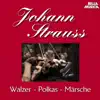 Stream & download Stauss Sohn: Walzer - Polkas - Märsche, Vol. 2