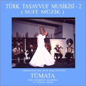 Türk Tasavvuf Musikisi - 2 artwork