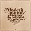 Modern Johnny Wallows in Introspection and Gently Goes Mad - Single