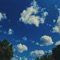 ISO (feat. Jason Lindner) - Kaelin Ellis lyrics