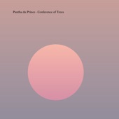 Pantha du Prince - Holding the Oak