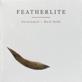 Featherlite artwork