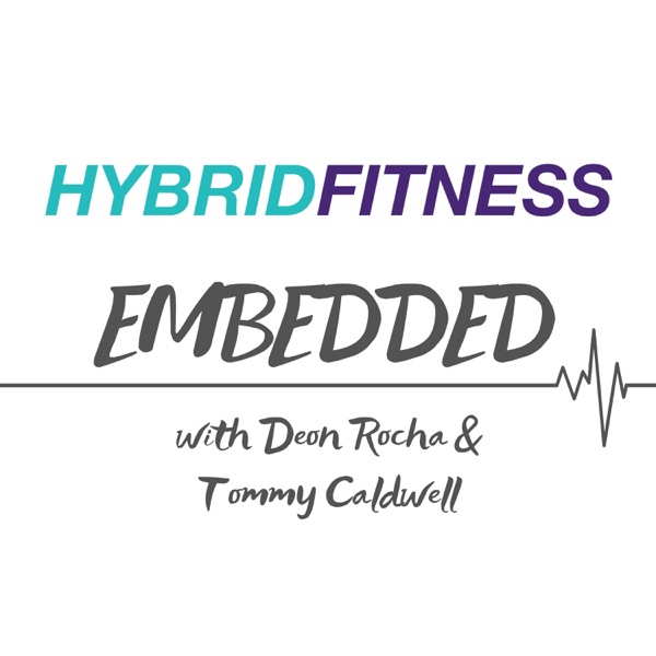 Hybrid Fitness Embedded