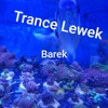 Trance Lewek, 2020