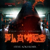 Flames (Steve Aoki Remix) artwork