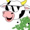 Cash Cow - Brndn lyrics