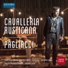 Grazer Philharmoniker - Pagliacci: Intermezzo (Live)