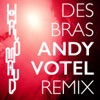 Des Bras (Andy Votel Remix) - Single