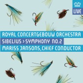 Symphony No. 2 in D Major, Op. 43: I. Allegretto (Live) artwork