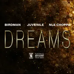 Dreams (feat. NLE Choppa) Song Lyrics