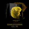 Stream & download Sounds by R3SPAWN Vol. 08 - Single