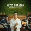 Necio Corazón - Single