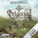 David Eddings - Der Ewige: Belgariad 5