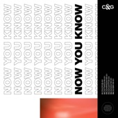 Now You Know (EP) artwork
