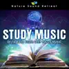Study Music: Delta Wave 432hz Deep Focus Music album lyrics, reviews, download
