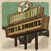 Learning To Fly artwork