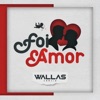 Wallas Arrais - Foi Amor