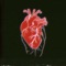Hand over Heart (feat. Chayla Hope) - Holy Mattress Money lyrics