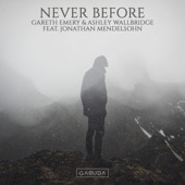 Never Before (feat. Jonathan Mendelsohn) [Extended Mix] artwork