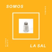 Somos la sal artwork