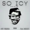 So Icy (feat. Flu Gotit) - Single album lyrics, reviews, download