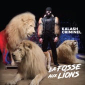 La fosse aux lions artwork