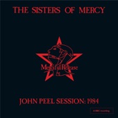John Peel Session: 1984 - EP artwork