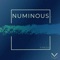 Numinous - finesu lyrics