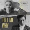 Toheart - Tell Me Why (Acoustic Version)