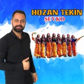 Şevko Halayı artwork