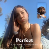 Perfect (with Hugh Augustine) artwork