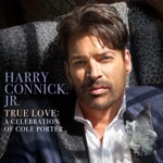 Harry Connick, Jr. - I Concentrate on You