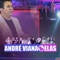 Amor da Minha Vida (feat. Banda a Favorita) - André Viana lyrics