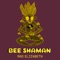 Bee Shaman - MAD Elizabeth lyrics