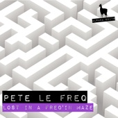 Lost in a Freq'in Maze artwork