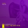 Just the Way It Is (Audiorush vs. Scott W) - Single