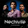 Nechivile