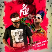 Se Fue (feat. Kola Loka) artwork