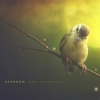 Sparrow - Single