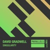Singularity - Single