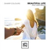 Beautiful Life (feat. Eddu Braga) artwork