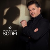 Sodfi artwork