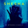 De Mthuda - Shesha