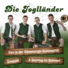 Des is der Stimmungs Sommerhit - Single