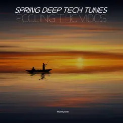 Spring Deep Tech Tunes: Feeling the Vibes by Various Artists album reviews, ratings, credits